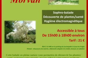 Balade déconnectée en Morvan