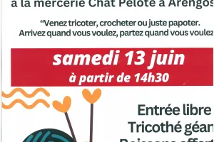 Journée mondiale du tricot - Chat Pelote