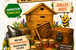SOS RUCHE - A la recherche de la ruche perdue