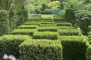 Jardin d'atmosphéres du petit-bordeaux