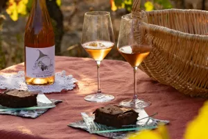 Apéritif au milieu des vignes à Aumes / Pézenas