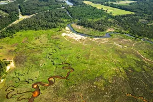 Balade contée dans les prés salés