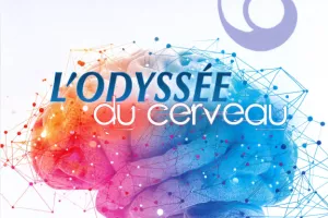 Cerveau à la carte ... à ma carte !