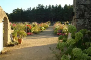 Rendez-vous aux Jardins - Parc et jardins du château de Tournelay