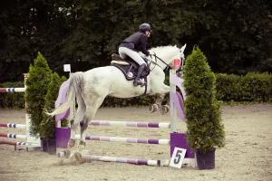 Concours de saut d'obstacles Jump Halloween
