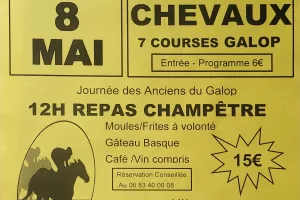 Courses de Chevaux