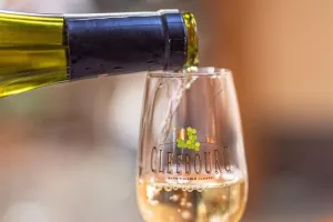Chapitre des vendanges de la Confrérie des Vins de Cleebourg