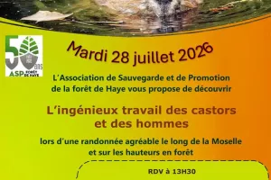 Randonnée "L'ingénieux travail des castors et des hommes"