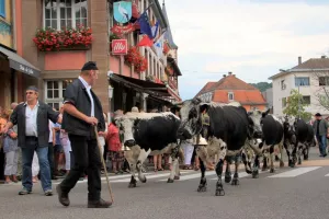 Fête de la transhumance et de la tourte