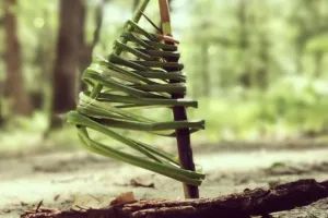 Nature et bout de ficelle