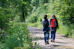 Les Rendez-vous Nature - Découverte de la forêt de Zetting