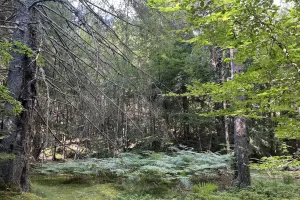 JOURNÉE BIEN-ÊTRE