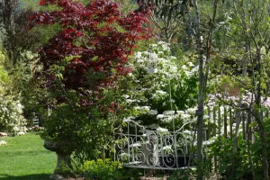 visite guidée du Jardin du Grand Charme