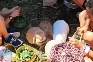Atelier des p'tits curieux : "Immersion à la ferme : à la découverte du plantain"