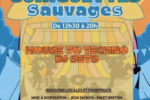 Guinguettes Sauvages - guinguette musique électronique
