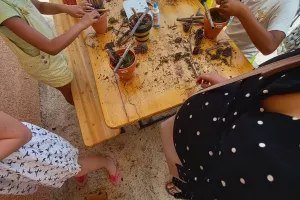 FABRICATION D’UN MINI-HÔTEL À INSECTES