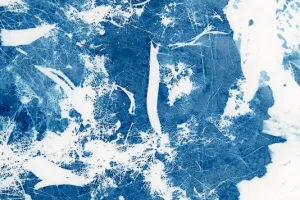 Lumière sur les prairies fleuries