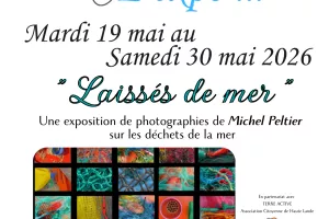 L'Expo " Laissées de mer" de Michel Peltier