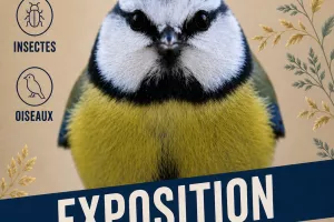 Exposition photo Sandrine Octeau
