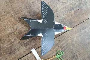 atelier avion japonais en forme de rapaces