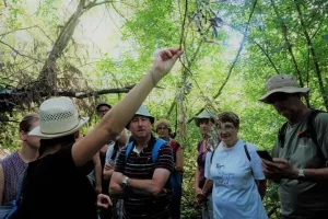 Balade naturaliste et artistique - Un paysage naturel modelé par l'Histoire