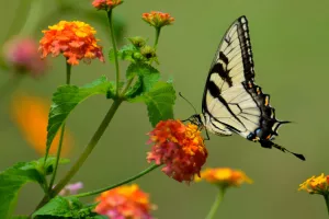 Nuit des Musées à Beautiran