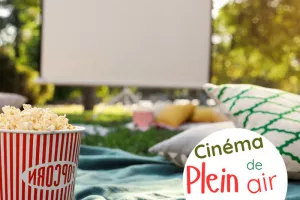 Cinéma de plein air dans les quartiers béglais 🍿🎞️