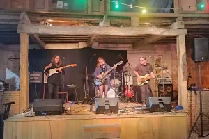 FÊTE DE LA MUSIQUE À MAUVAISIN