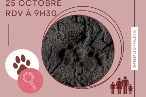 Il est passé par ici, Il repassera par là...