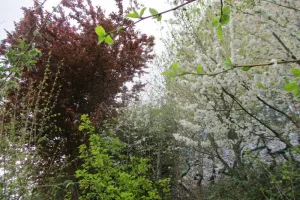 Visite des Jardins du Shakirail
