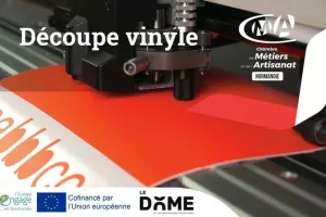 Atelier découverte Découpe vinyle au Dôme (14)