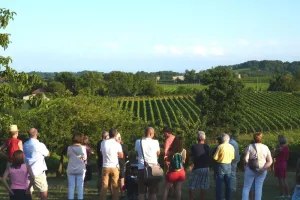 Ferm'en scène, au Domaine Dou Bernès