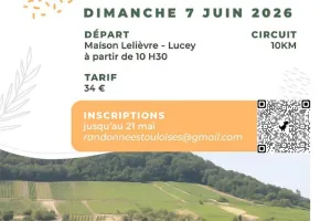 Marche gourmande des Côtes de Toul