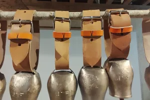 Le projet Museoa Urtu