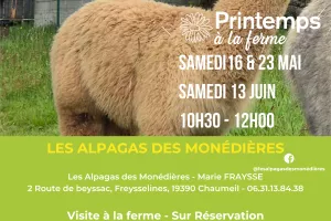 Printemps à la ferme - Les Alpagas des Monédières