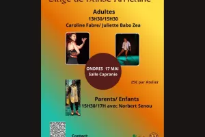 Stages de danses africaines