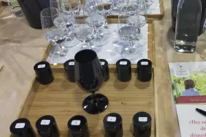 ATELIER DE DÉGUSTATION OENOLOGIQUE - LE PARFUM DES ANTHOCYANES