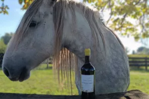 Journée Oenotourisme au Vignoble Au Pas du Cheval