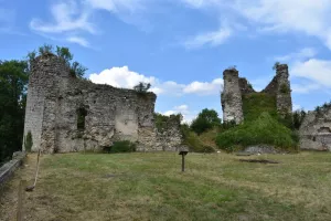 Le château de Blâmont révélé par l'archéologie