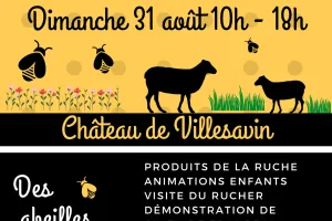 Villesavin grandeur nature. Abeilles, brebis et nature
