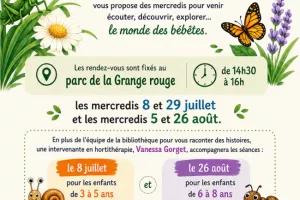 Les petites bêtes quelle histoire