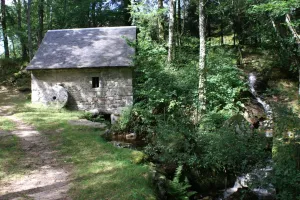 Balade et repas de Printemps