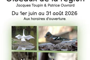 Exposition photographique "Oiseaux de la région"