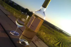 Wine & Sunset au Château Saincrit