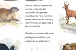 A la découverte de la faune pyrénéenne