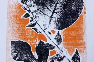 Atelier : monotypes de plantes
