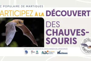 Les printemps et ABC populaire : " Découverte des chauves-souris "