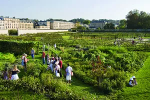 Visite guidée du Potager du Roi