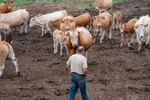 FERME DE LA TOUNINE