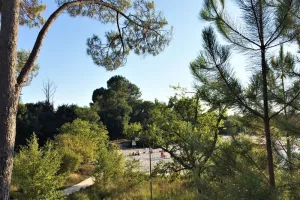 Relais nature - Que nous racontent les fossiles
